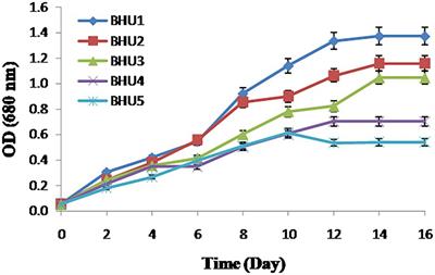 Physiological and Biochemical Responses of Bicarbonate Supplementation on Biomass and Lipid Content of Green Algae Scenedesmus sp. BHU1 Isolated From Wastewater for Renewable Biofuel Feedstock